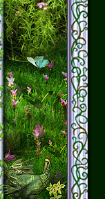 Enchanted Garden Slot